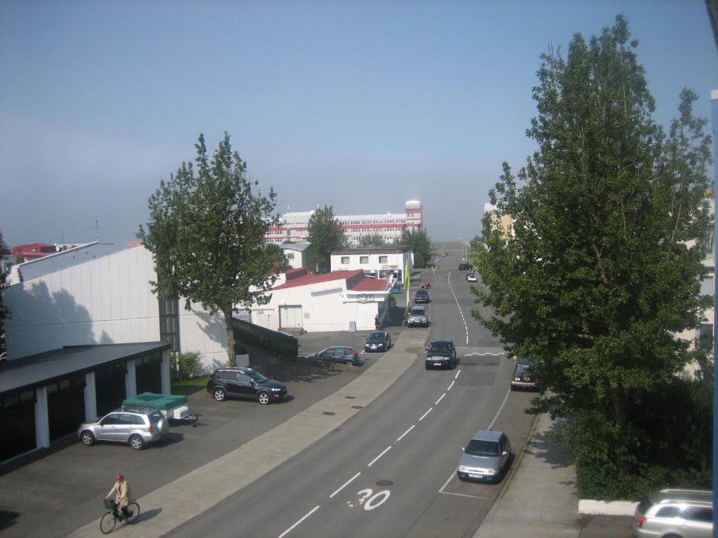 Bina * Reykjavik